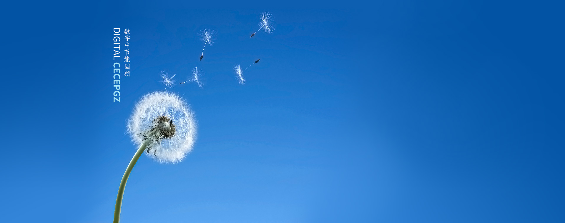 壹定发官网国祯环保科技股份有限公司