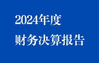 节能国祯2024年度财务决算报告（简版）