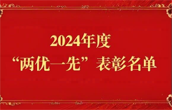 2024年度“两优一先”表彰名单出炉
