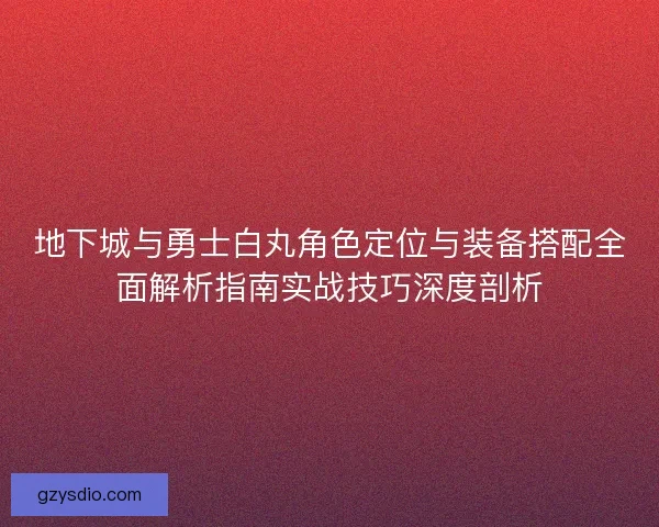 地下城与勇士白丸角色定位与装备搭配全面解析指南实战技巧深度剖析